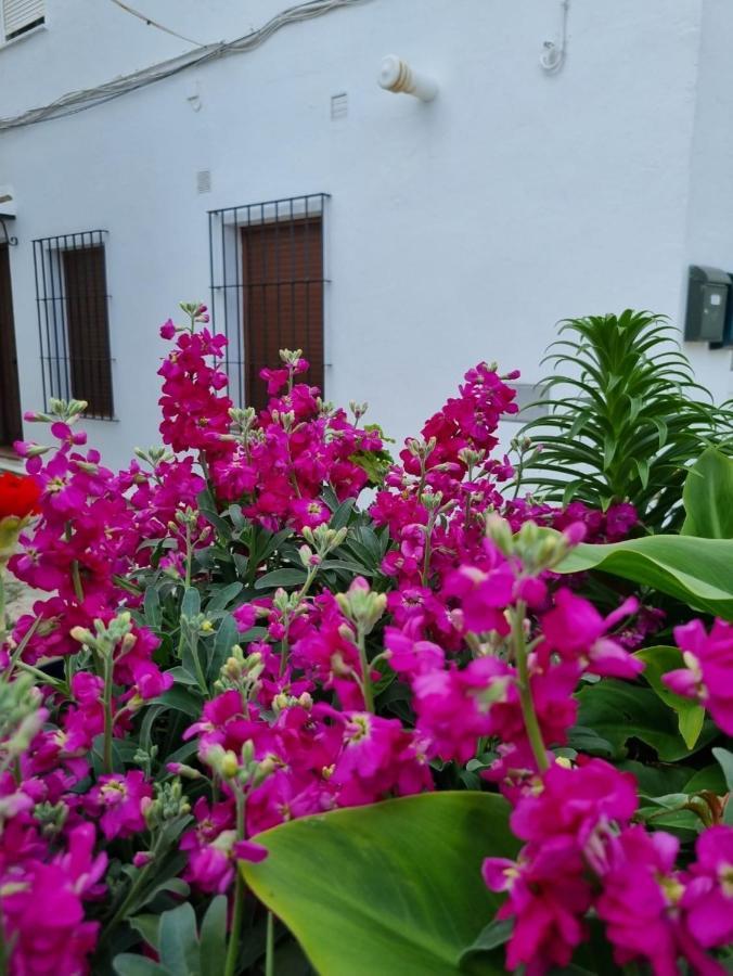 Casa Francisca En El Casco Antiguo Vejer de la Frontera Exterior foto